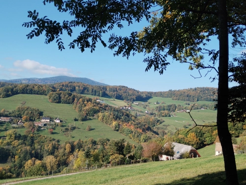 photo photo